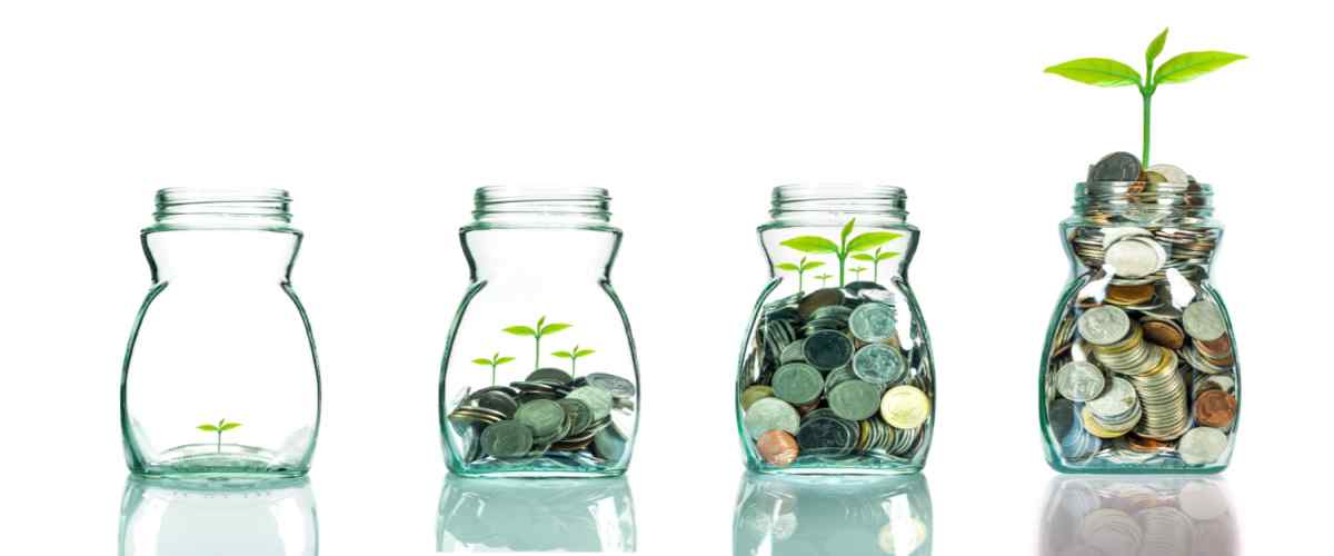 Choosing the Right Savings Account: Your Money’s Home