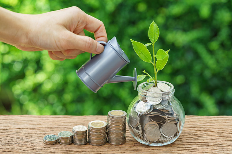 Investment Basics: Risk, Return, and Diversification Explained